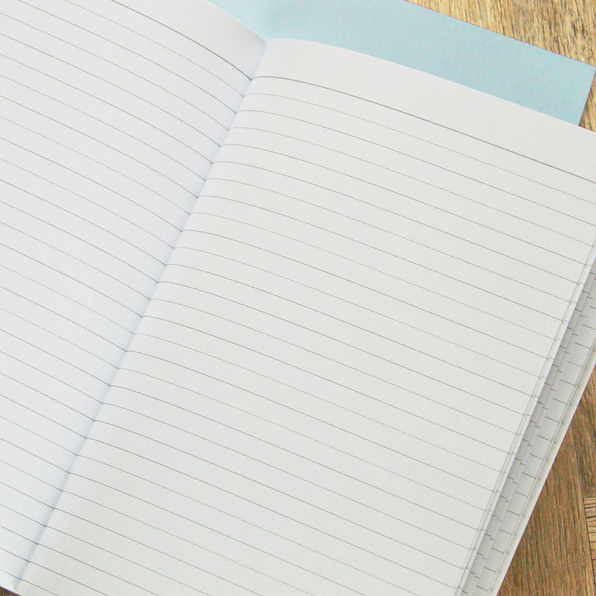 Feminist Motivation Notebooks (3 Pack) - Image 6