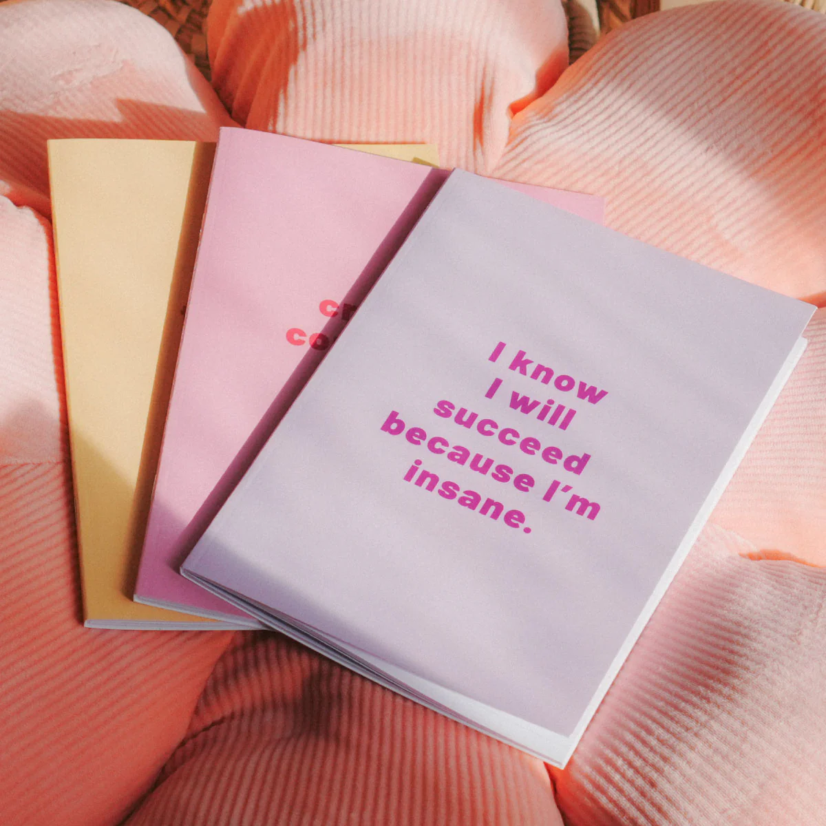 Insane Notebooks (3 Pack) - Image 5