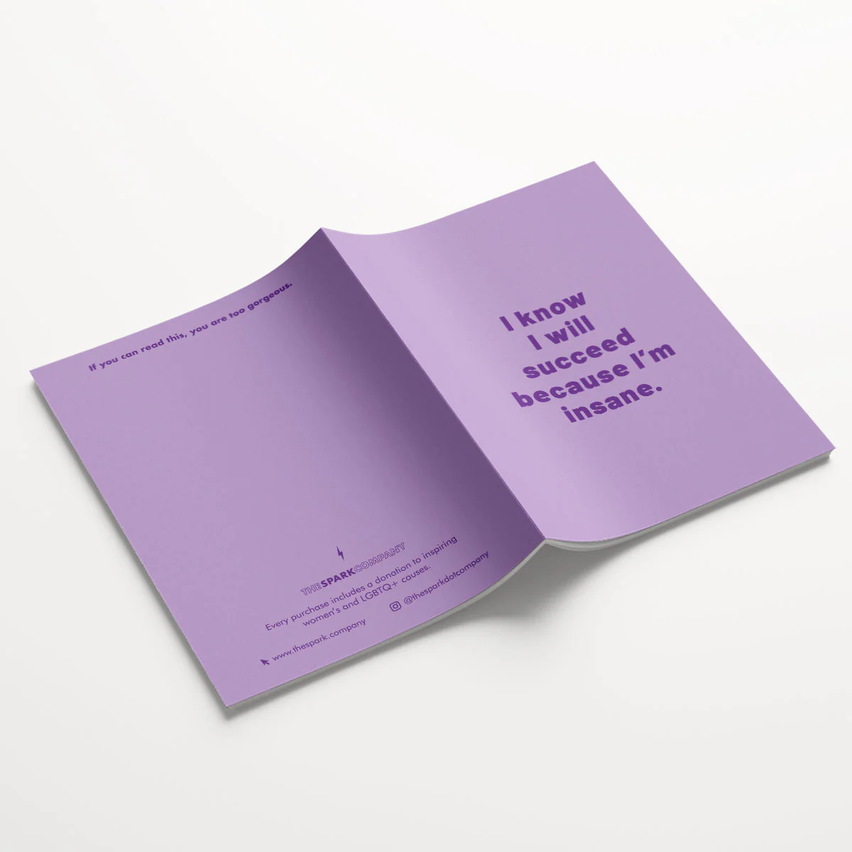 Insane Notebooks (3 Pack) - Image 8