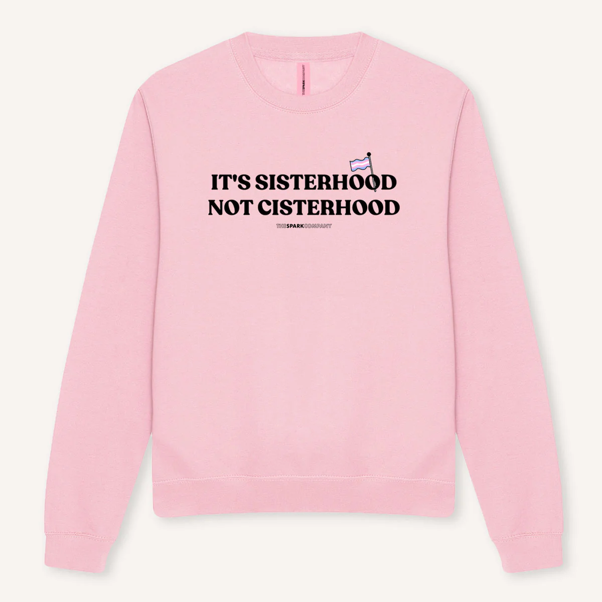 It's Sisterhood Not Cisterhood Sweatshirt - Image 4