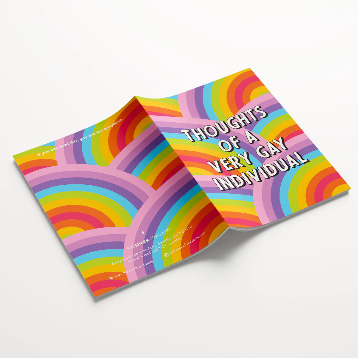 LGBTQ Notebooks (3 Pack) - Image 8