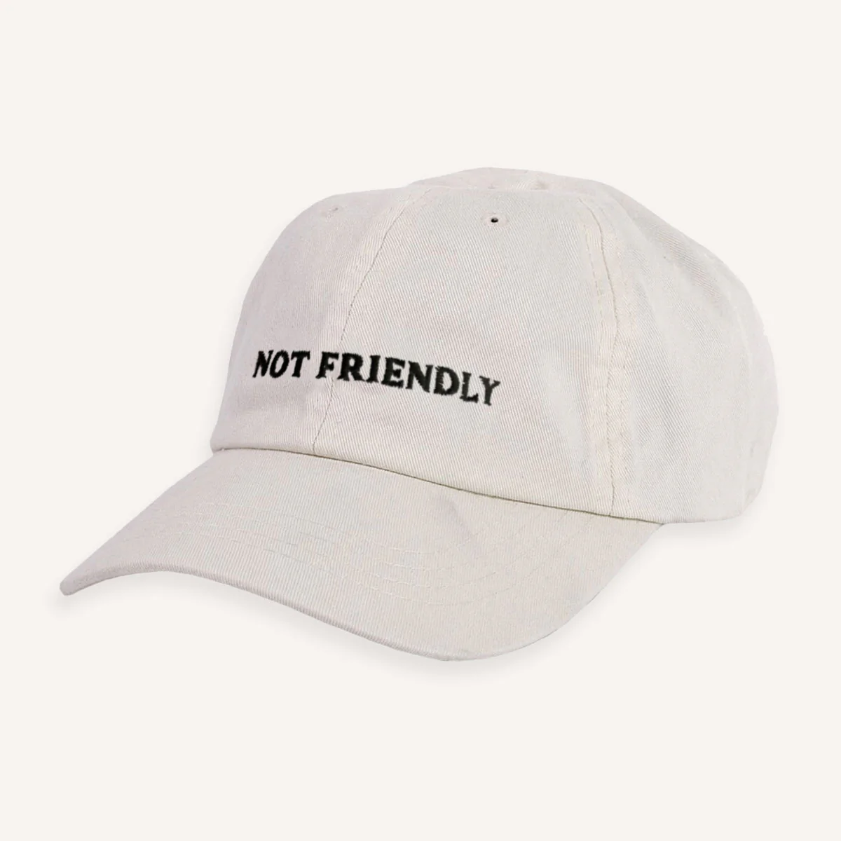 Not Friendly Slogan Cap - Image 10