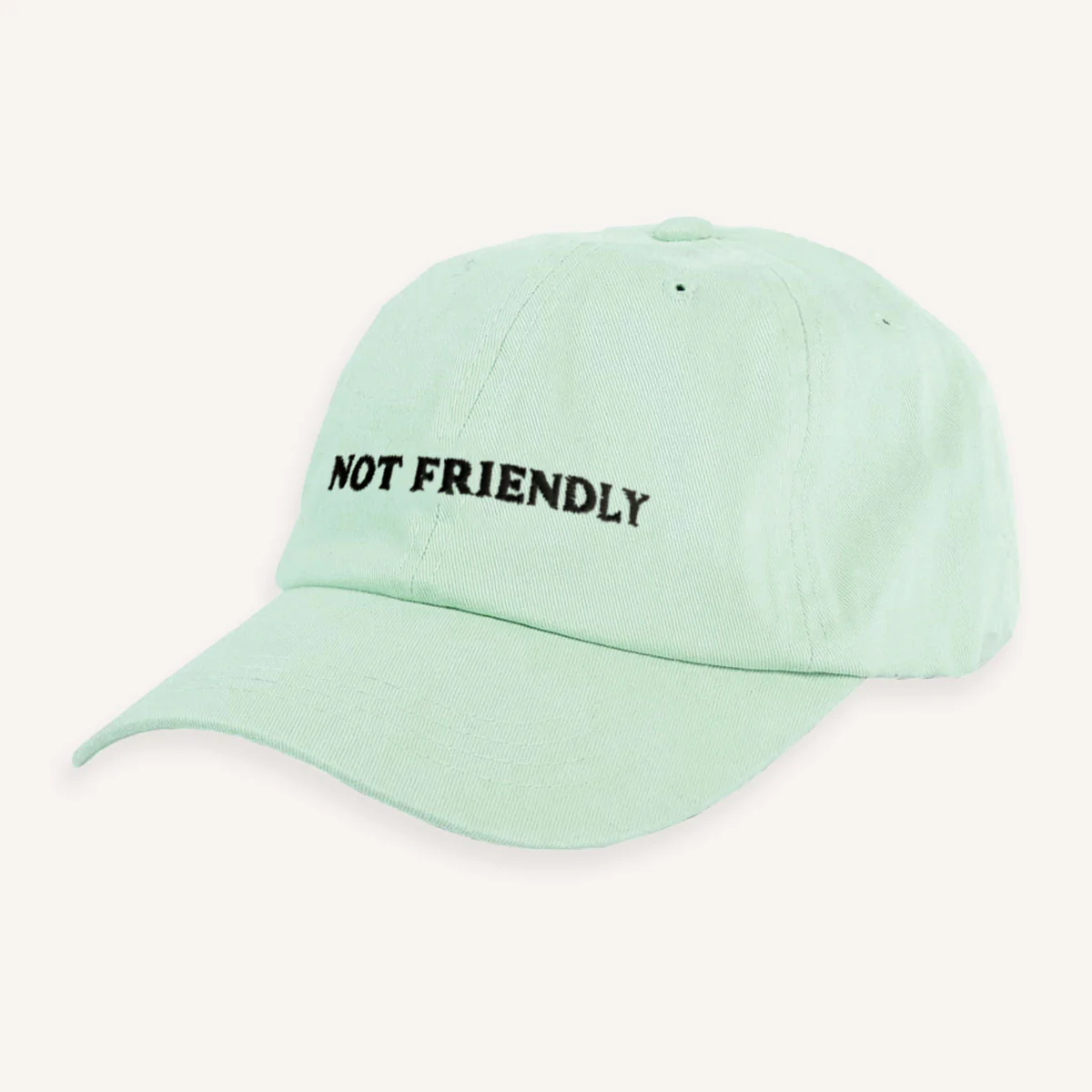 Not Friendly Slogan Cap - Image 11