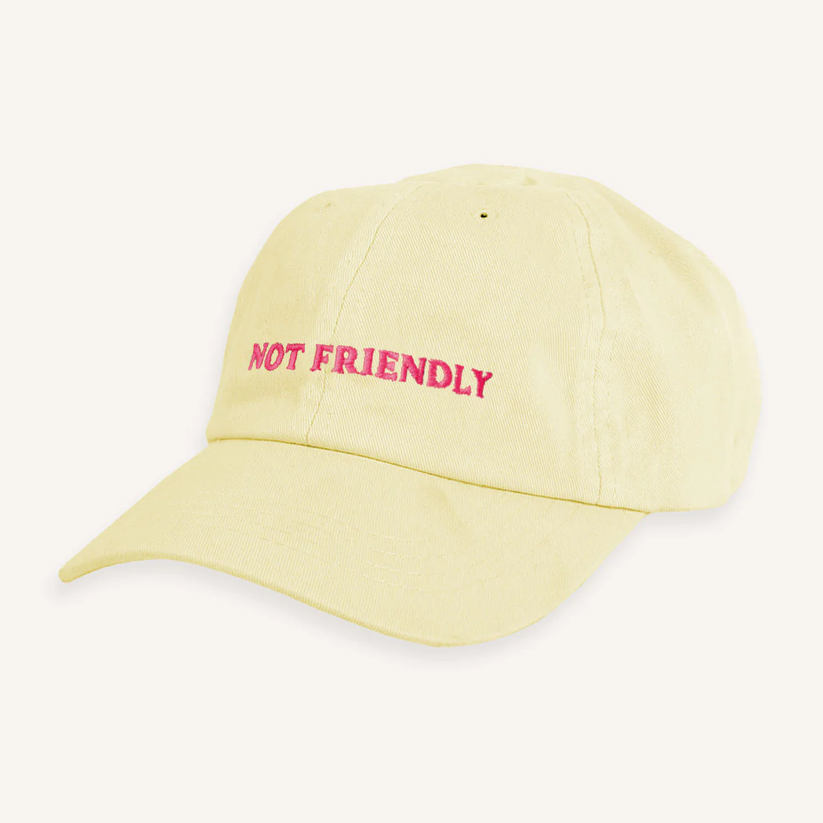 Not Friendly Slogan Cap - Image 4