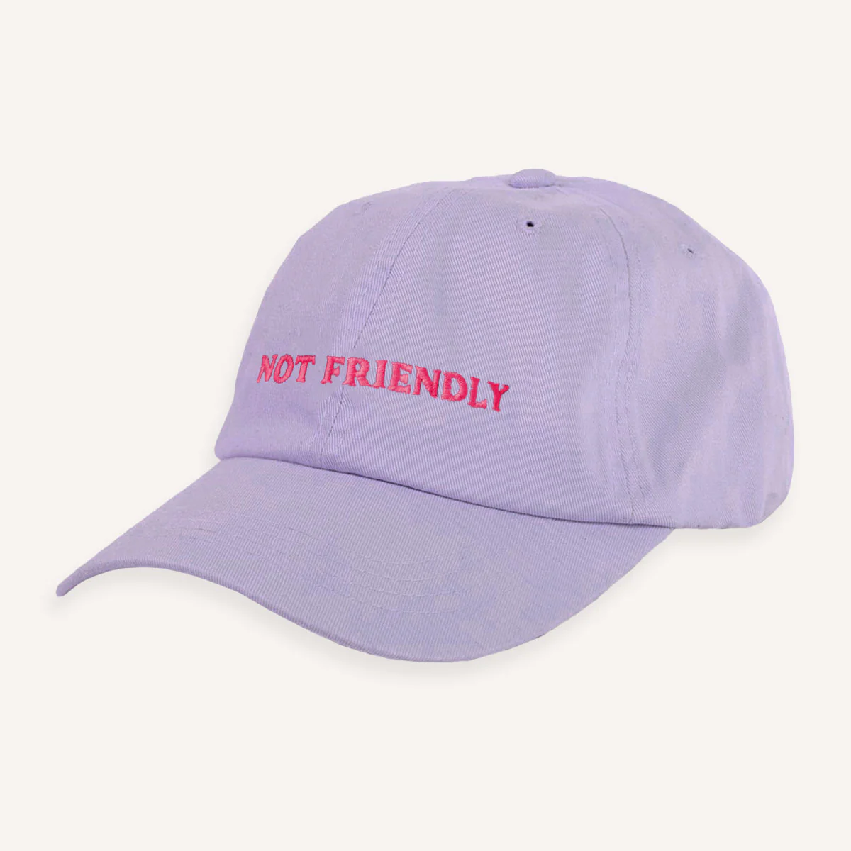 Not Friendly Slogan Cap - Image 5