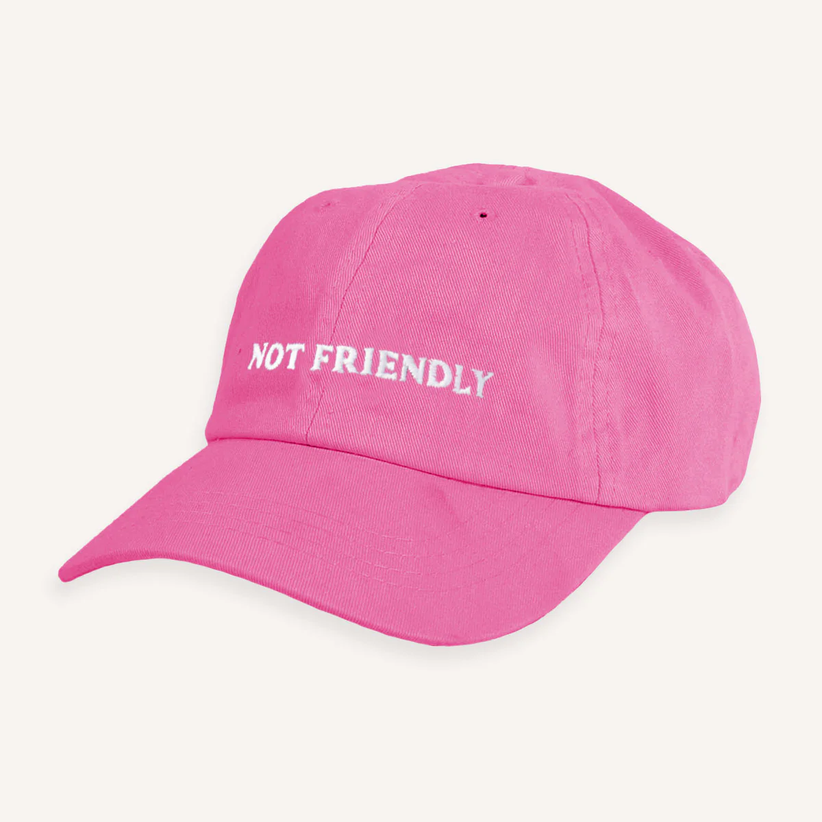 Not Friendly Slogan Cap - Image 6