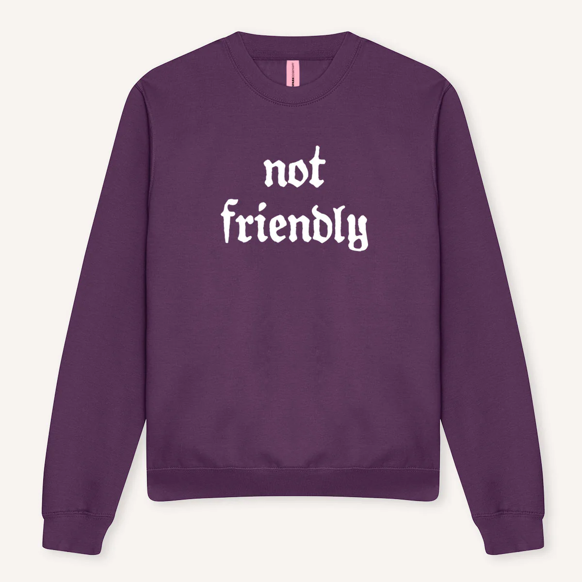 Not Friendly Sweatshirt - Image 4