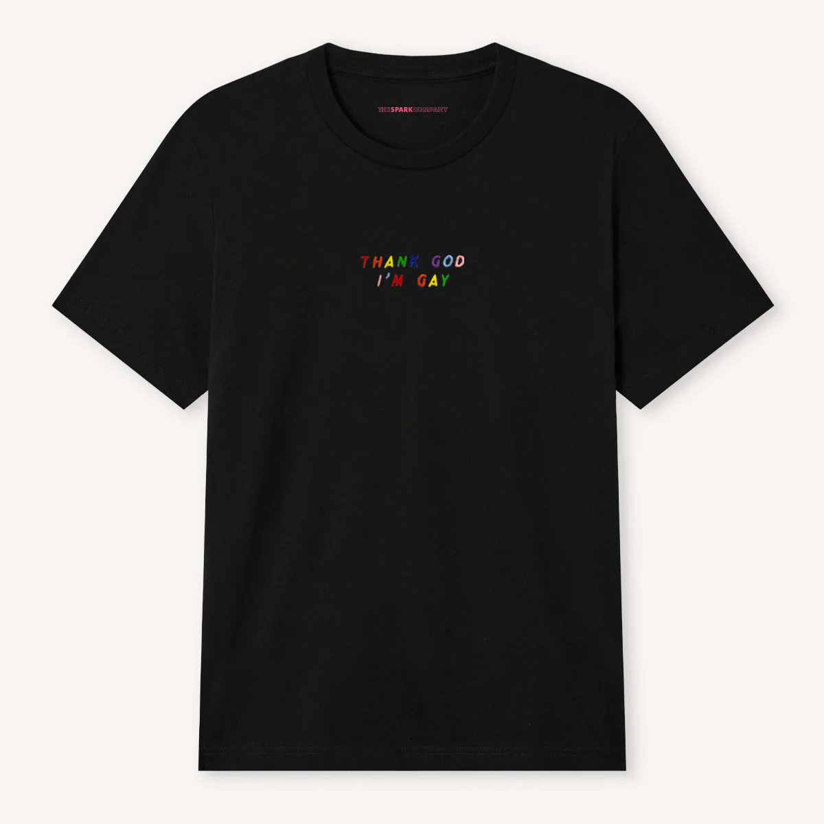 Thank God I'm Gay Embroidery Detail T-Shirt - Image 2
